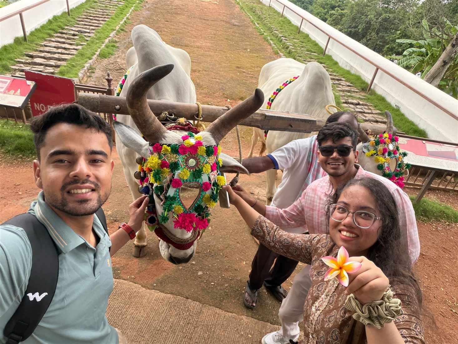 Batch Life — photograph 146