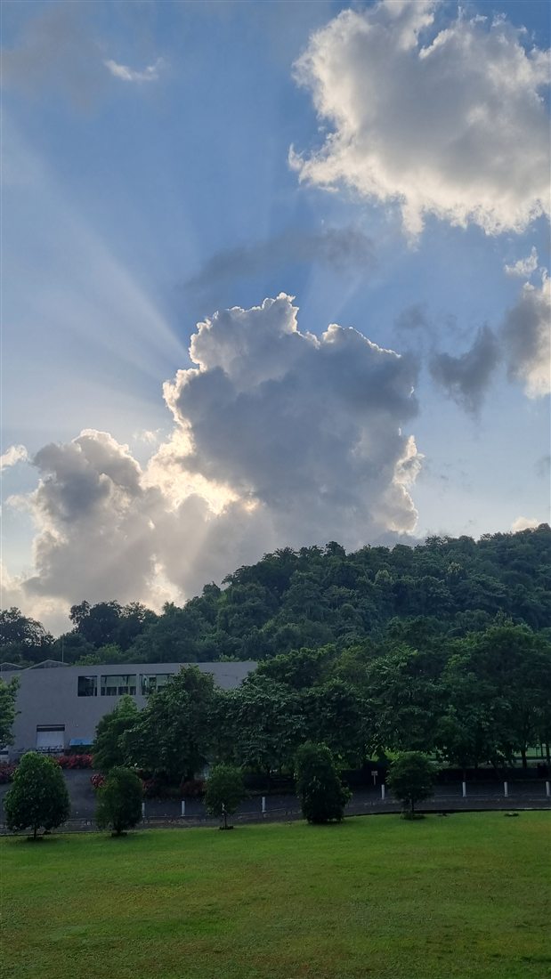 Batch Life — photograph 151